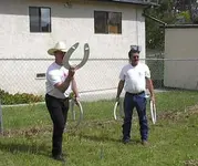 redneckhorseshoes[1].webp