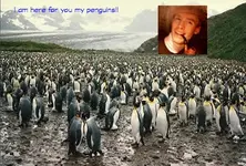 photo p..webp