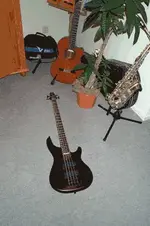 cort.webp