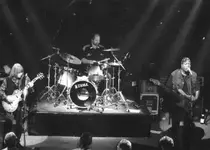 savoy brown.webp