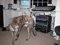 linus.webp