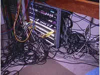 just like track rats!.webp