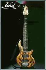 wal 6 string.webp