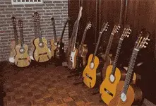 guitars.webp