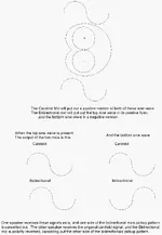 m-s illistration.webp