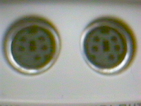midiinout.webp