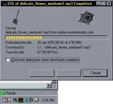 samplenwrp2p.webp