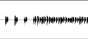strangebass.webp