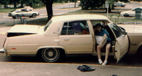 old yeller.webp