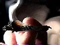 virtualjoint.webp