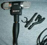 mic.webp