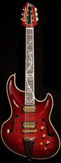 hollowbody.webp