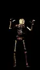 skeleton5_e0.webp