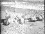 beach_e0.webp