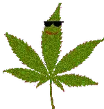 animhemp.webp