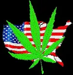stonedamerica.webp