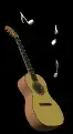 gtr114.webp