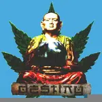 destiny-buddha.webp