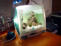 michallawniczak[1].webp