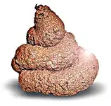 sht[1].webp
