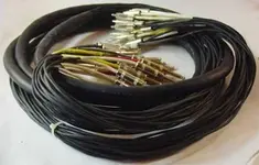 24TRSx24RCASnake15-1.webp
