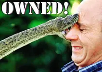 owned-snake.webp