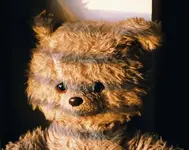 teddy-2.webp