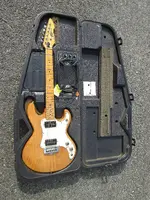 peavey.webp