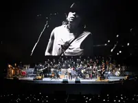 1710688620894.webp