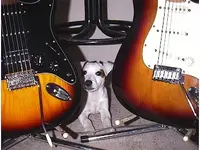 strat.webp