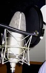 mic.webp