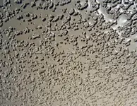 cielingtile.webp