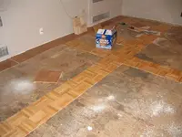 floor2.webp