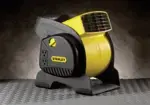 Fan.webp