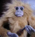 monkeyltlgtr1.webp