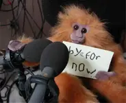 monkeybye1.webp