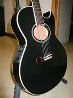 Washburn Frnt Angl.webp