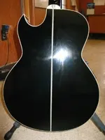Washburn Back.webp