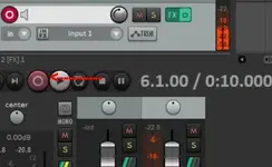 Record button.webp