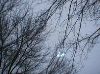 AA1dJ9Ro.webp