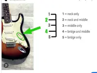 Neck 1.webp