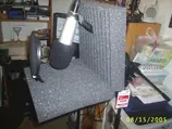 Mic 2.webp