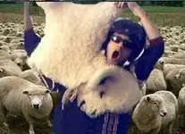 0sheep2.webp
