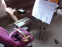Violin set up._499.webp