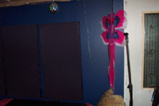 DCP_1920.webp