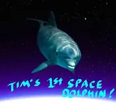 13803_wspace.webp