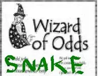 Wizard of Odds.webp