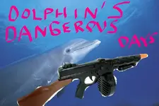 dolphins dangerous days.webp