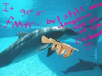 dangeorus dolphinn.webp