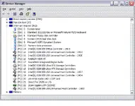 Moron.webp